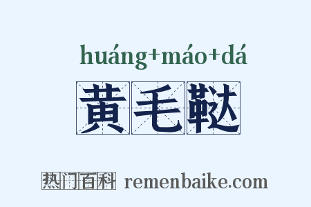 黄毛鞑是什么意思的图片